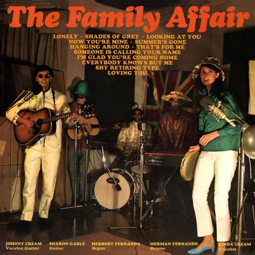 FAMILY AFFAIR - RECORD