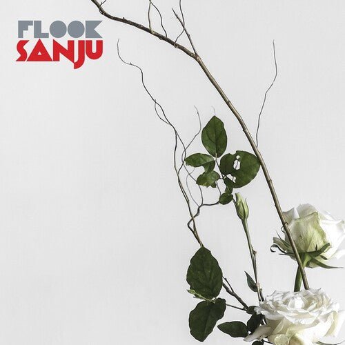 FLOOK - SANJU - RECORD