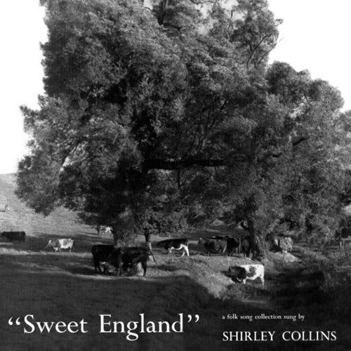 COLLINS,SHIRLEY - SWEET ENGLAND - RECORD
