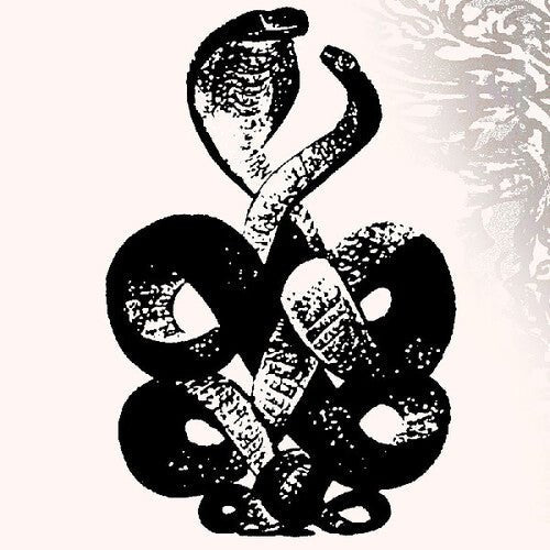 BARDO POND - VOLUME 4 & 5 - RECORD