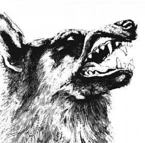 CRIPPLED BLACK PHOENIX - I VIGILANTE - RECORD