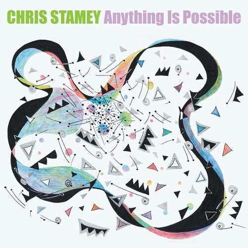 STAMEY,CHRIS - ANYTHING IS POSSIBLE - RECORD