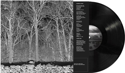 PILE - SUNSHINE & BALANCE BEAMS - RECORD