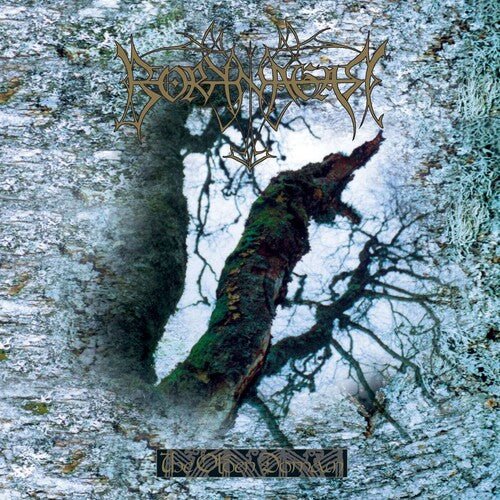 BORKNAGER - OLDEN DOMAIN - RECORD
