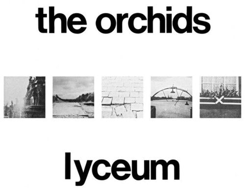 ORCHIDS - LYCEUM - RECORD