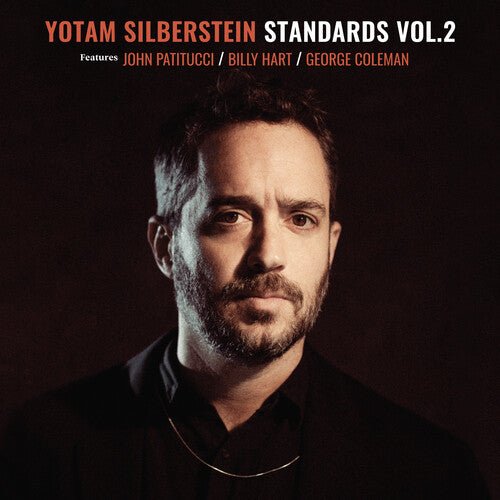 SILBERSTEIN,YOTAM - STANDARDS 2 - RECORD