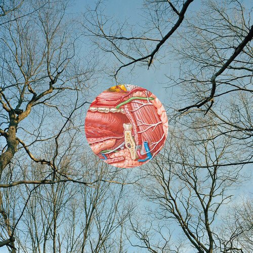 THEY MIGHT BE GIANTS - GLEAN - RECORD