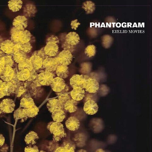 PHANTOGRAM - EYELID MOVIES - RECORD