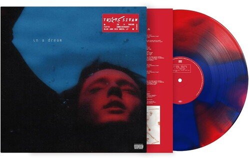 SIVAN,TROYE - IN A DREAM - RECORD