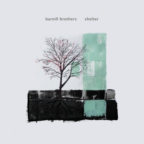 BARNILL BROTHERS - SHELTER - RECORD