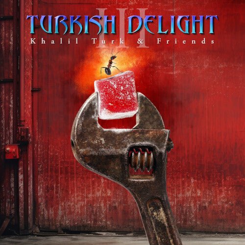 TURKISH DELIGHT VOLUME THREE / VARIOUS - RECORD