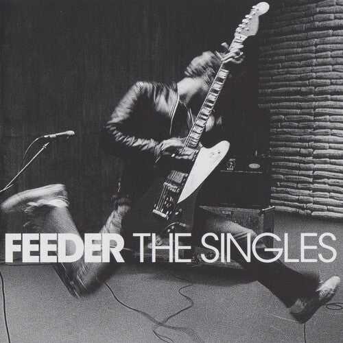 FEEDER - SINGLES - RECORD