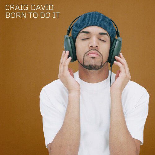 DAVID,CRAIG - BORN TO DO IT - RECORD