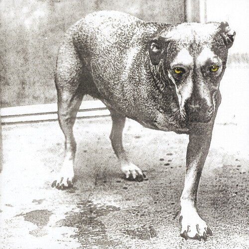 ALICE IN CHAINS - RECORD