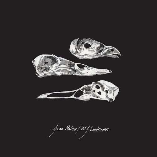 MOLINA,JASON / MJ LENDERMAN - LAST THREE HUMAN WORDS (DEMO) / JUST BE SIMPLE - RECORD