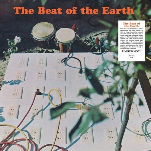 BEAT OF THE EARTH - RECORD