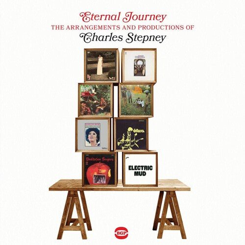 ETERNAL JOURNEY - ARRANGEMENTS & PRODUCTIONS OF CHARLES STEPNEY - RECORD