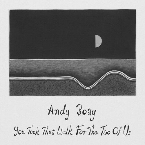 BOAY,ANDY - YOU TOOK THAT WALK FOR THE TWO OF US - RECORD
