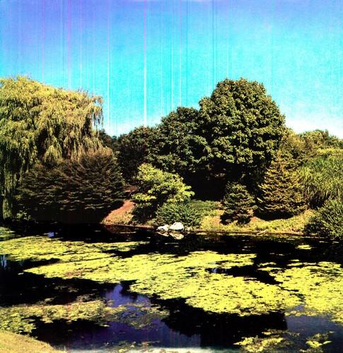 SHELLAC - TERRAFORM - RECORD
