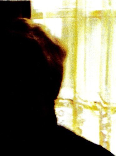 PALACE BROTHERS - DAYS IN THE WAKE - RECORD