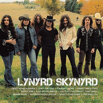 LYNYRD SKYNYRD - ICON - RECORD