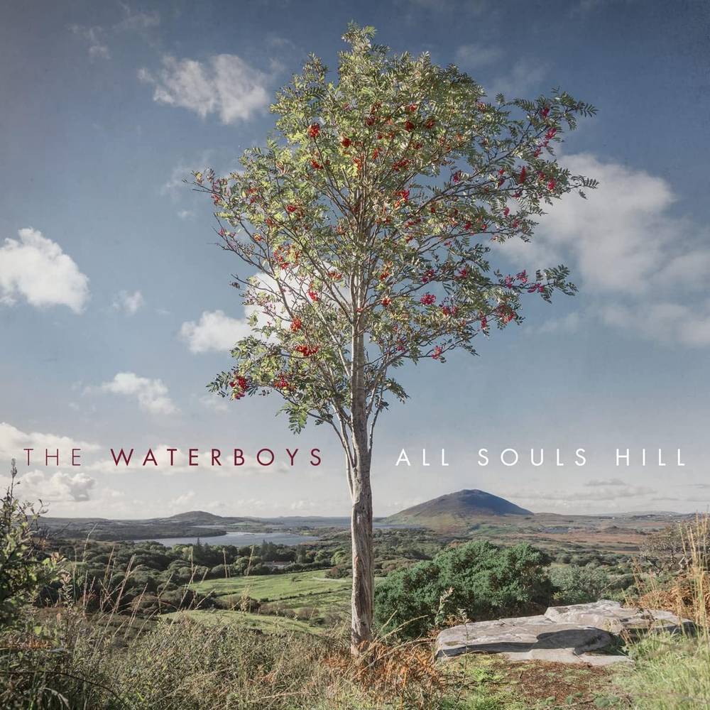WATERBOYS - ALL SOULS HILL - RECORD