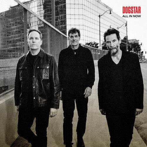 DOGSTAR - ALL IN NOW - RECORD