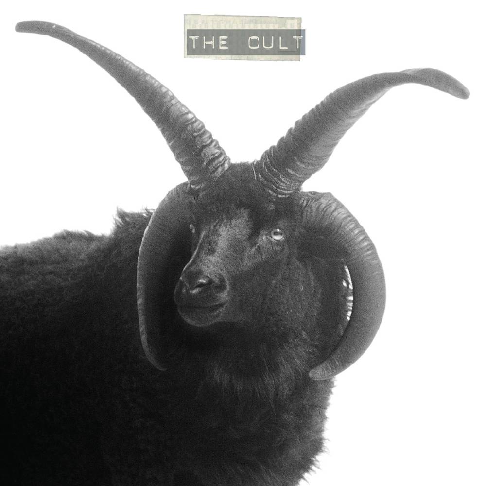 CULT - RECORD