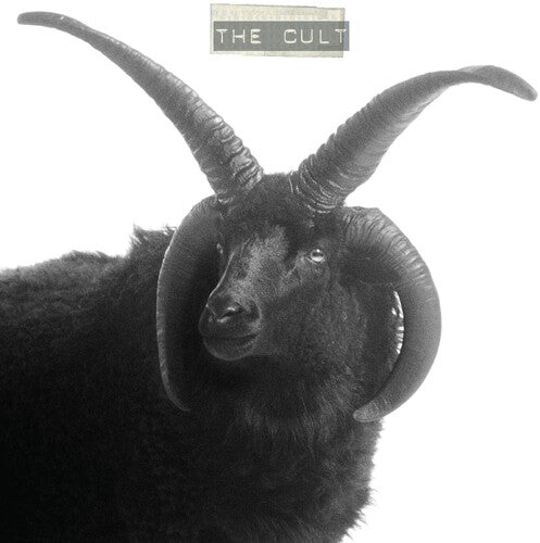 CULT - RECORD