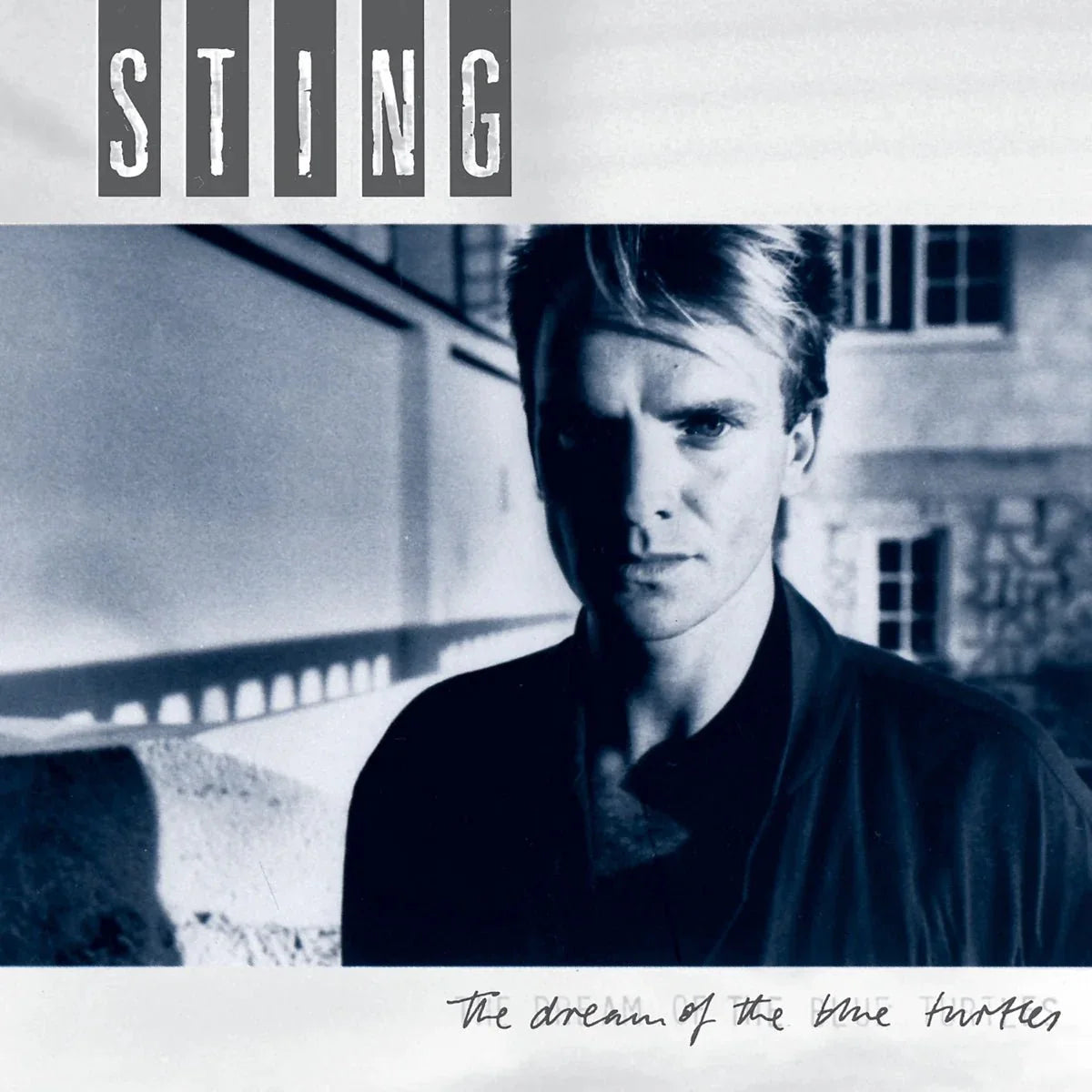 STING - DREAM OF THE BLUE TURTLE AQAUA/COKE BOTTLE - RECORD