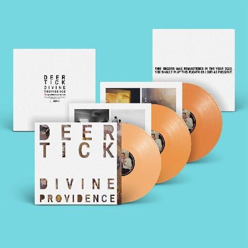 DEER TICK - DIVINE PROVIDENCE - RECORD