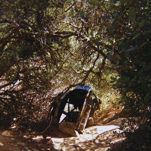 SEGALL,TY - POSSESSION - RECORD