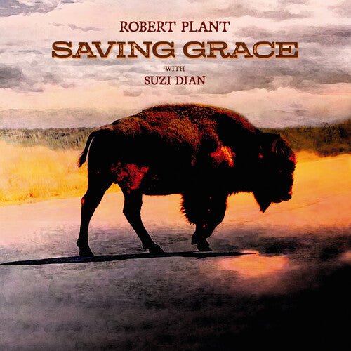 PLANT,ROBERT - SAVING GRACE - RECORD