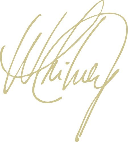 HOUSTON,WHITNEY - WHITNEY HOUSTON - RECORD