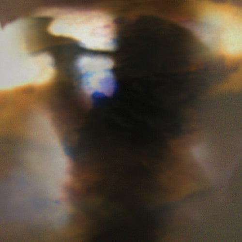 ANIMAL COLLECTIVE - FALL BE KIND - RECORD