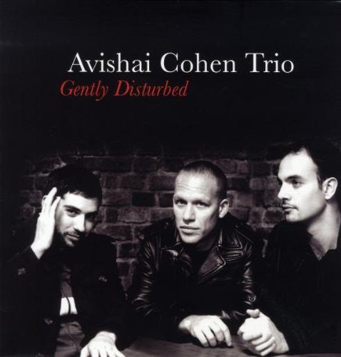 COHEN,AVISHAI - GENTLY DISTURBED - RECORD
