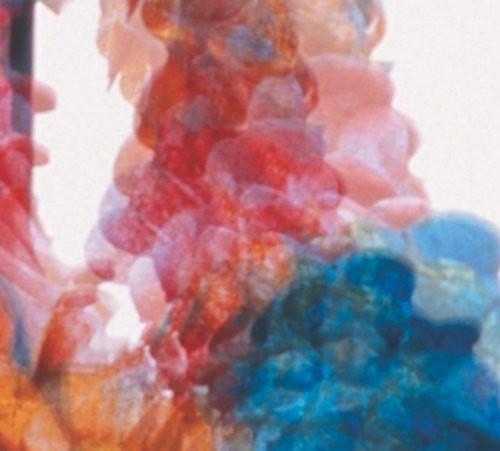 DUNGEN - SKIT I ALLT - RECORD