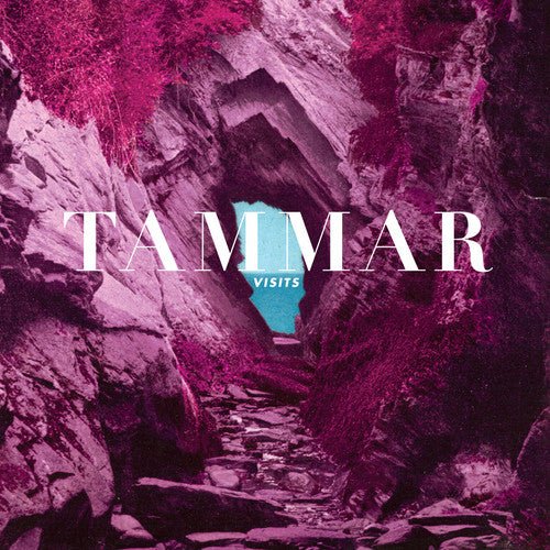 TAMMAR - VISITS - RECORD