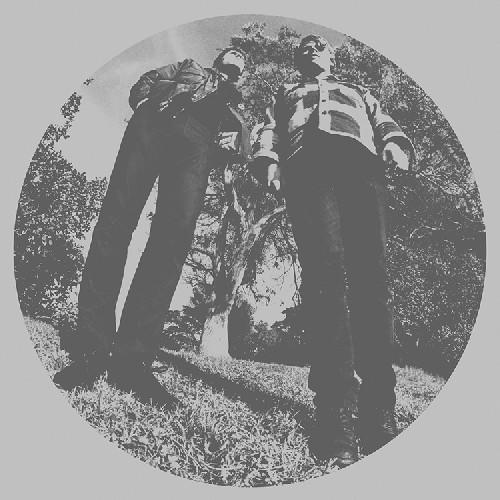 SEGALL,TY & WHITE FENCE - HAIR - RECORD