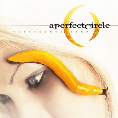 PERFECT CIRCLE - THIRTEENTH STEP - RECORD