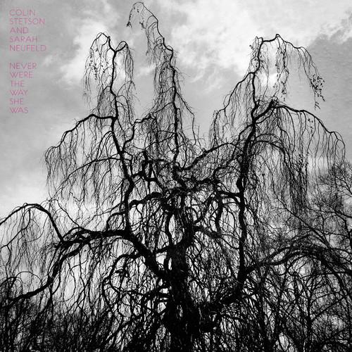 STETSON,COLIN - NEVER WERE THE WAY SHE WAS - RECORD