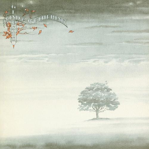 GENESIS - WIND & WUTHERING - RECORD