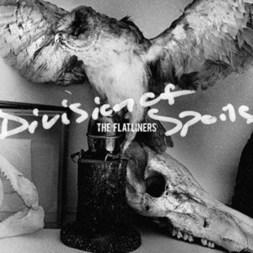 FLATLINERS - DIVISION OF SPOILS - RECORD