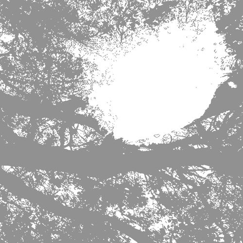 COMETS ON FIRE - FIELD RECORDINGS FROM THE SUN - RECORD