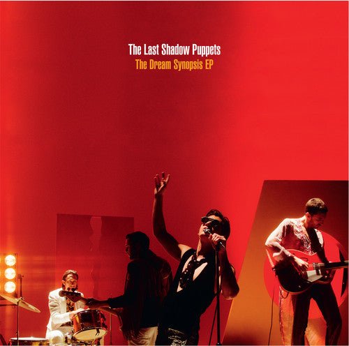 LAST SHADOW PUPPETS - DREAM SYNOPSIS - RECORD