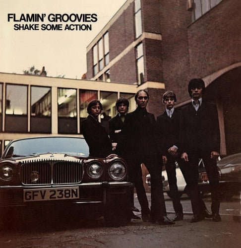 FLAMIN' GROOVIES - SHAKE SOME ACTION - RECORD