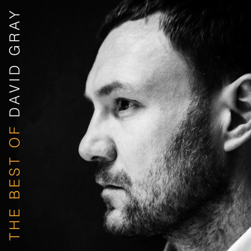 GRAY,DAVID - THE BEST OF DAVID GRAY - RECORD