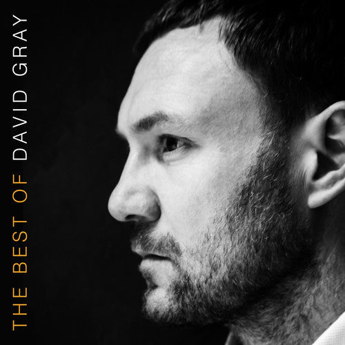 GRAY,DAVID - THE BEST OF DAVID GRAY - RECORD