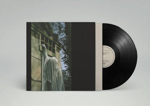 DEAD CAN DANCE - WITHIN THE REALM OF A DYING SUN - RECORD