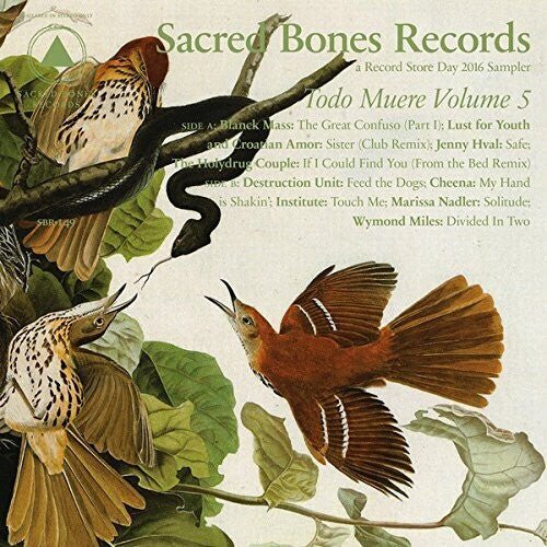 TODO MUERE VOL 5 / VARIOUS - RECORD